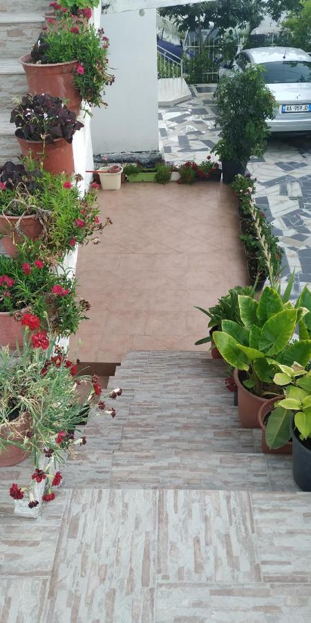 Villa Spacious House With A Big Garden And Fire Pit Tirana Exterior foto