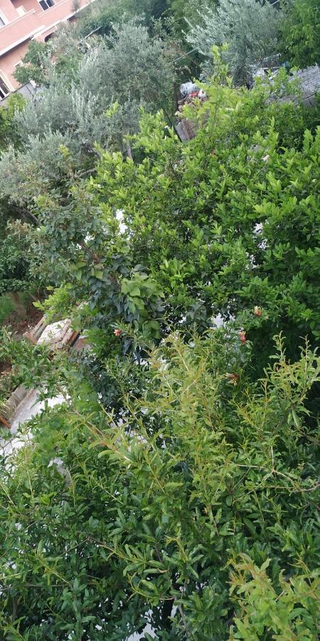 Villa Spacious House With A Big Garden And Fire Pit Tirana Exterior foto
